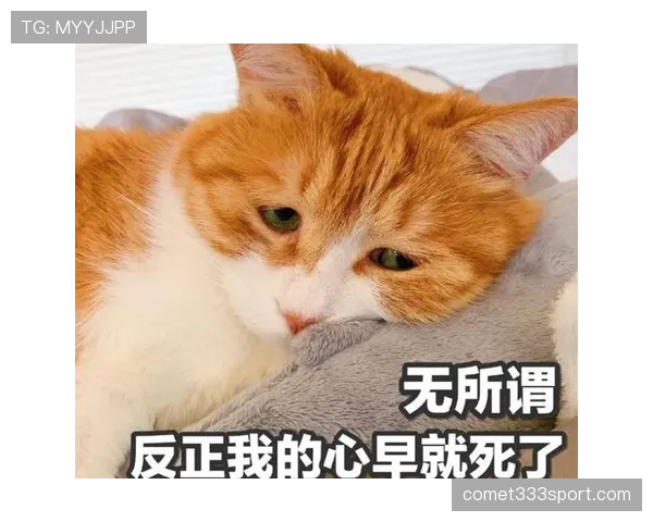 内马尔家的狗吃的都比我工资高