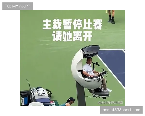 观众冲入球场干扰比赛,裁判该如何判罚? 观众冲入球场干扰比赛,裁判该如何判罚?